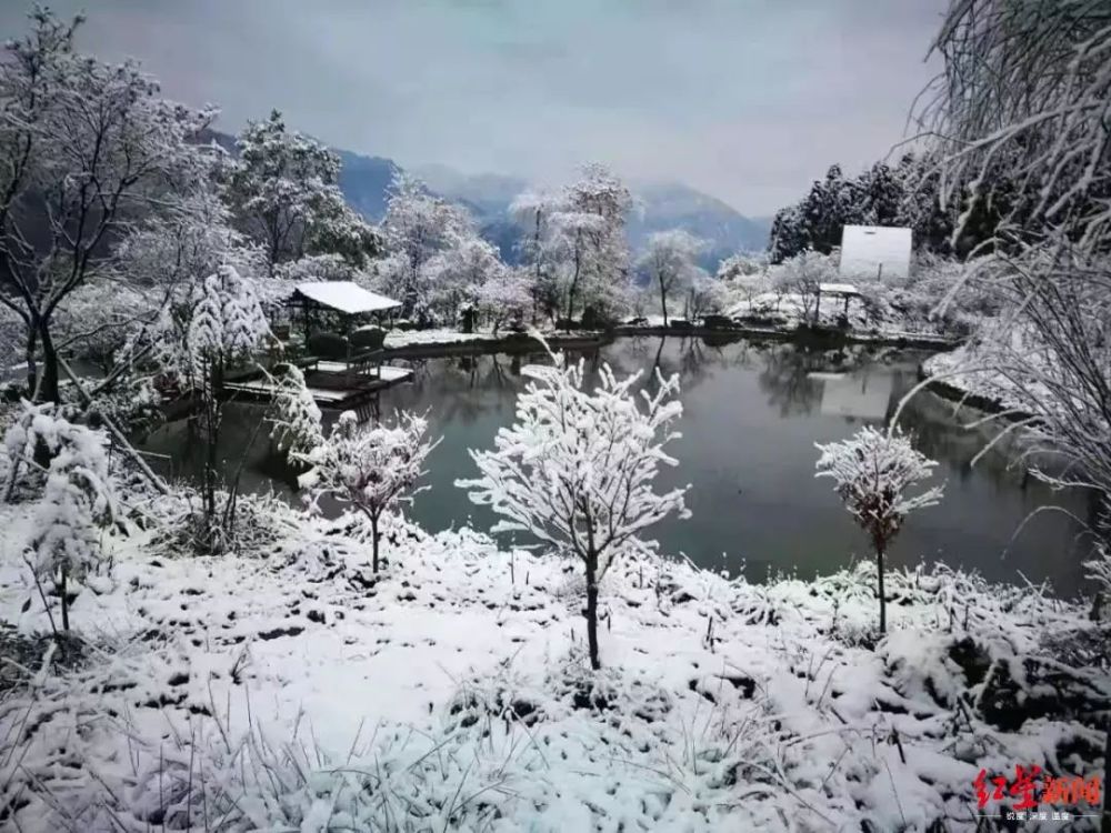 今冬烟台第一场雪来啦,烟台今冬首雪悄然而至