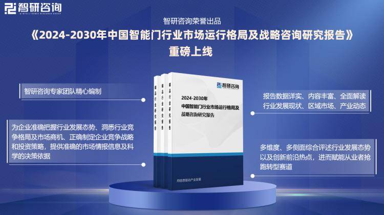 2024新奥精准正版资料,执行力解析落实_特性版I13.730