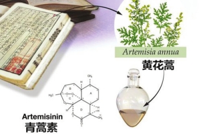 青蒿素治疗红斑狼疮的最新消息,青蒿素红斑狼疮新疗法进展喜人。