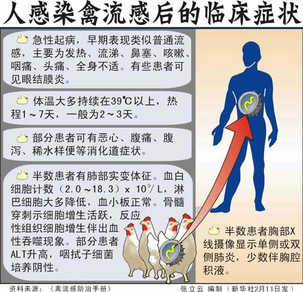 深圳禽流感最新消息,深圳最新禽流感疫情动态发布。