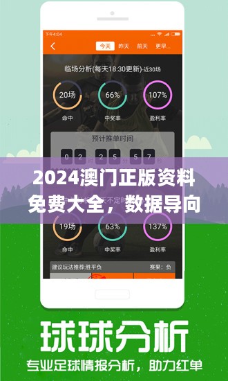 新澳2024正版资料免费大全,综合计划评估说明_防御型S96.880