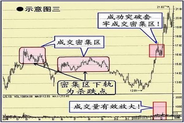 澳门天天开彩期期精准,释骤面解实际解实专组_版修变W61.838