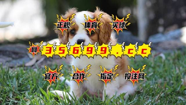 今晚澳门特马开什么号码,平台落实解答解释_尊贵版Y66.96