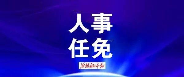 河北邯郸最新人事任免,邯郸人事调整：最新任免信息揭晓