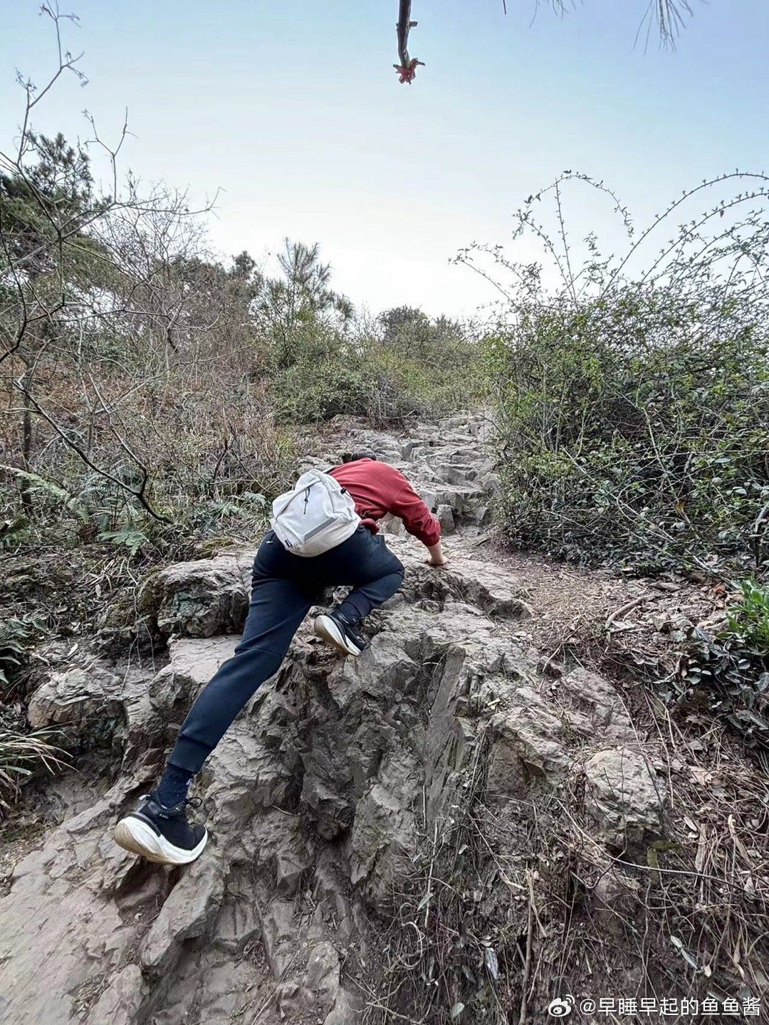 最新梧州爬山王图片,“梧州登山高手最新影像集”