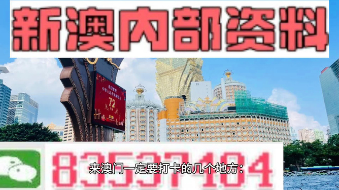 新澳2024年精准资料期期,探索与了解_足球版P13.460