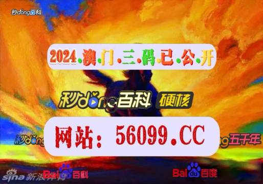 今晚澳门一肖一码一必开,一场关于数字555525的奇迹之旅_试验型B29.487