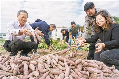 宁海梅林最新招聘信息,宁海梅林招聘资讯发布