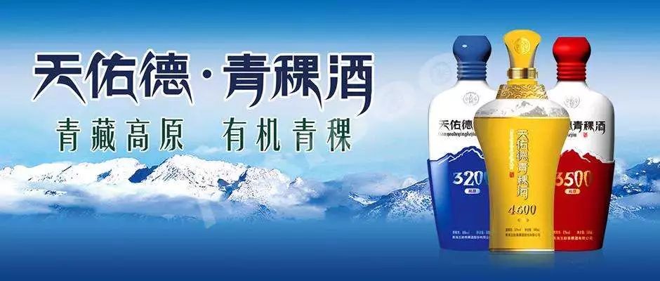 青青稞酒最新消息：一下最新动态