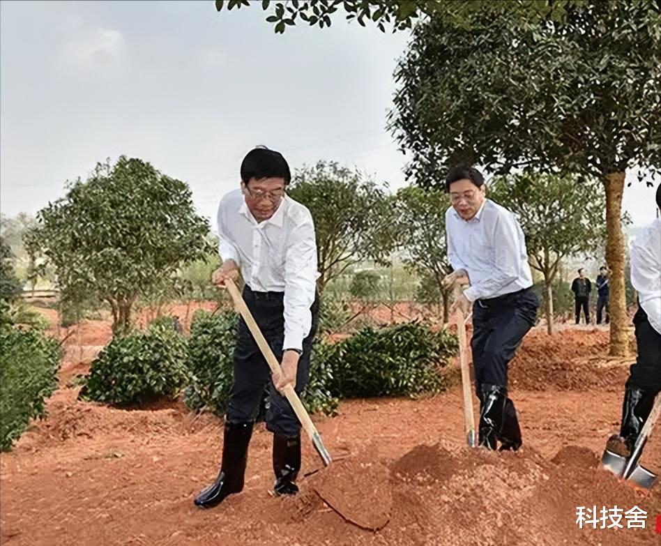 罗坤生扬升最新信息-罗坤生升迁资讯速递