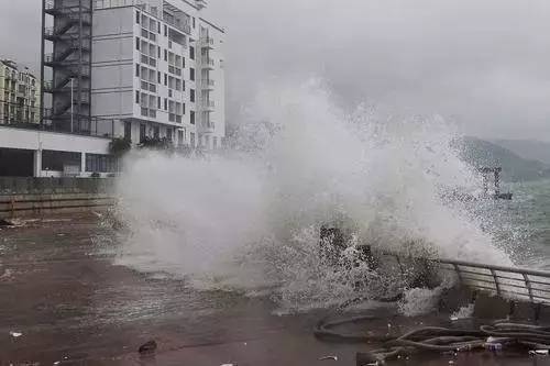 深圳洛克台风实时关注：风雨过后，美好未来在望