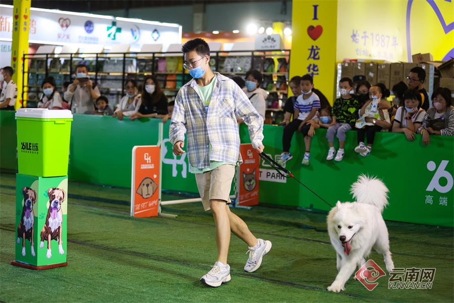 昆明东盟森林喜讯连连，绿意盎然美景更新